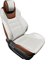 Visualization - brown & white seat